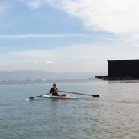 Laurel Condro avatar image