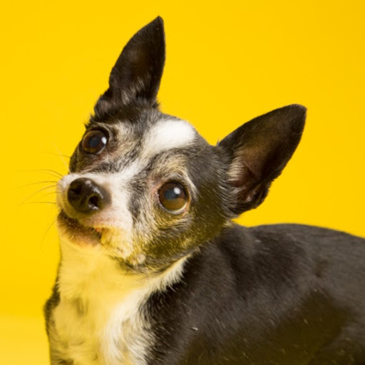 Jenny Bartolf avatar image