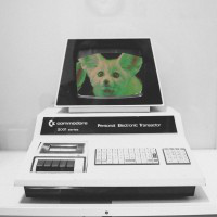 Anson Chu avatar image