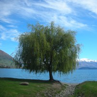 Asher Dory avatar image