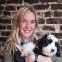 Kristin Ward avatar image