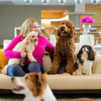 Jennifer Dawn Makeeff