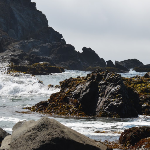 Greg Gardiner avatar image