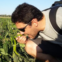 Roei Tabak avatar image