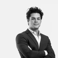 Andrei Danshes avatar image