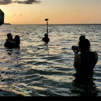 Natasha Singh avatar image