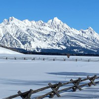 Art Peck avatar image