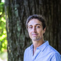 Tomás Insua avatar image