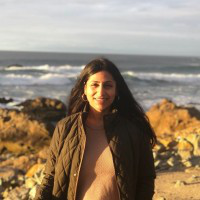 Nidhi Singh avatar image