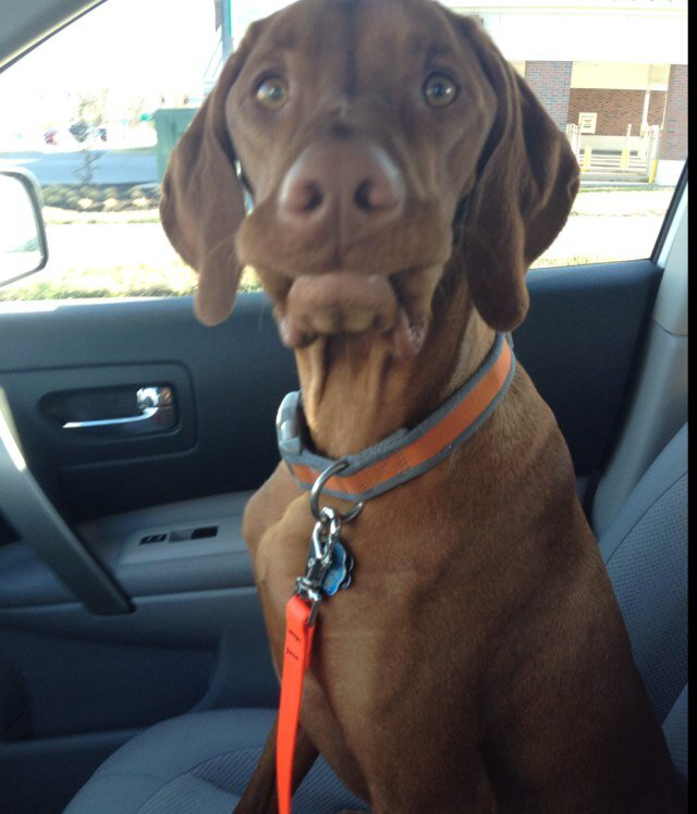 Jonathan Sprenger avatar image