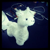 Fraser Xu avatar image