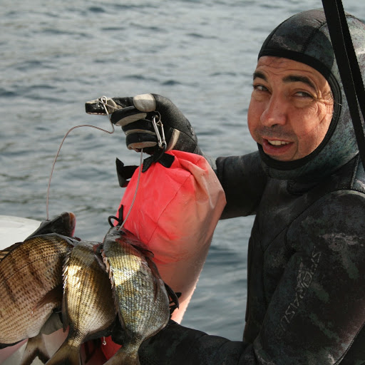 Eugenio Berenga avatar image