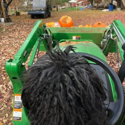 Jonathan Dodd avatar image