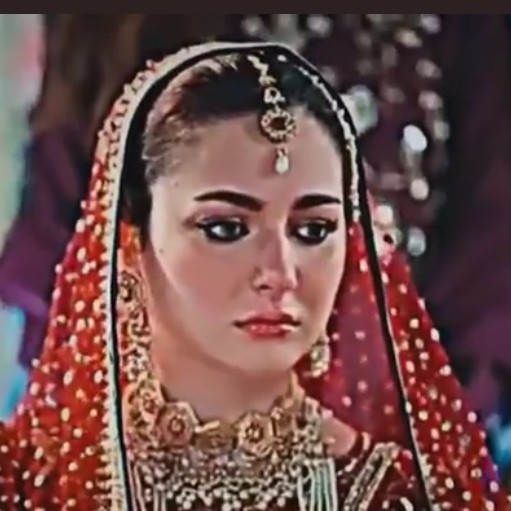 Zaitoon Zikar avatar image