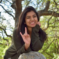 Manisha Gupta avatar image