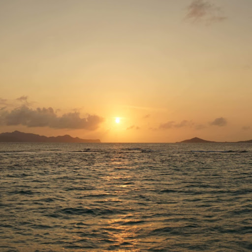 Carolyn Klein avatar image