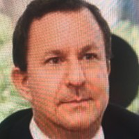 Adina Safer avatar image