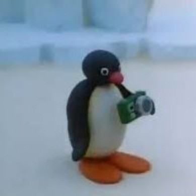 Max Wolff avatar image