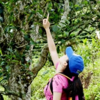 Shana Zhang avatar image