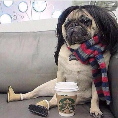 Shannon Tinkley avatar image