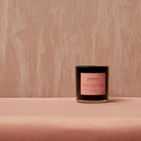 Matthew Herman avatar image