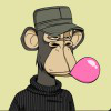 Trent Shaw avatar image