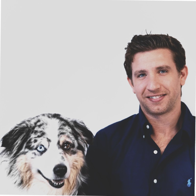 Tom Danieli avatar image