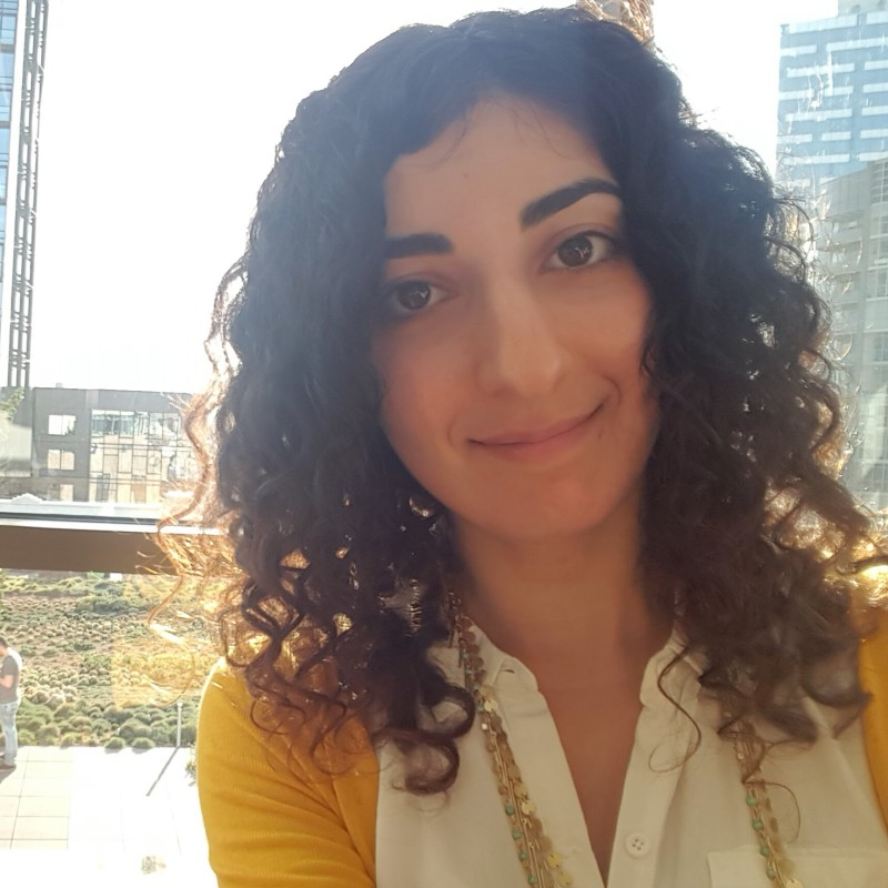 Henna Kermani avatar image