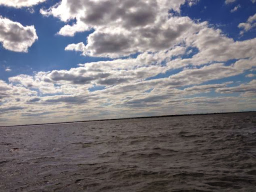 Mark Nakash avatar image