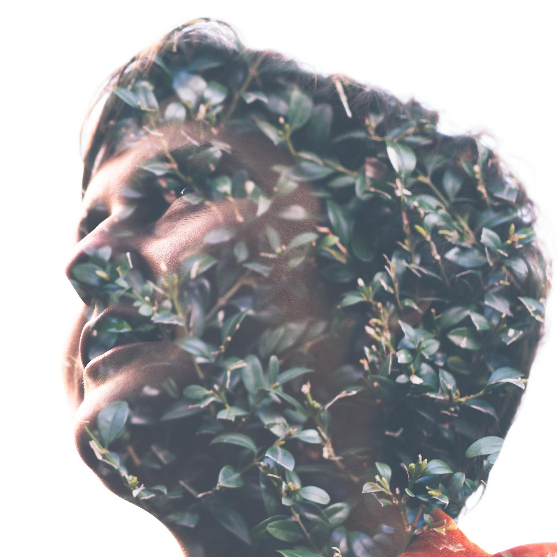 Julie Vens - De Vos avatar image