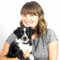 Danni Swanson avatar image