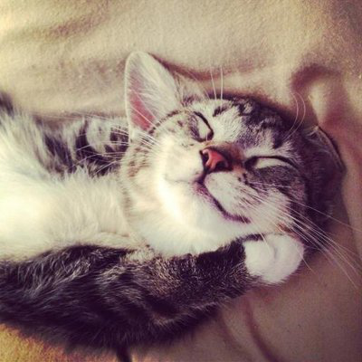 Andrew Jorgensen avatar image