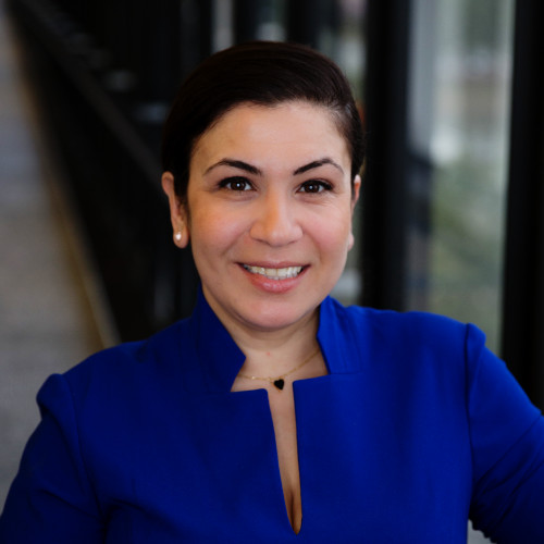 Vera Ibrahim avatar image