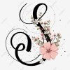 Sweta Singh avatar image
