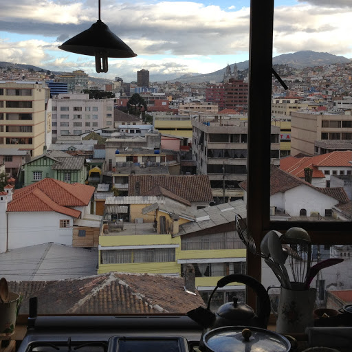 Emily Harrison avatar image