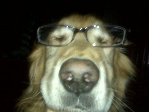 Peter McPartlin avatar image