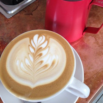 Siobhan Gottlieb avatar image