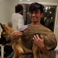 Jan Castor avatar image