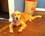 Shanna Duncan avatar image