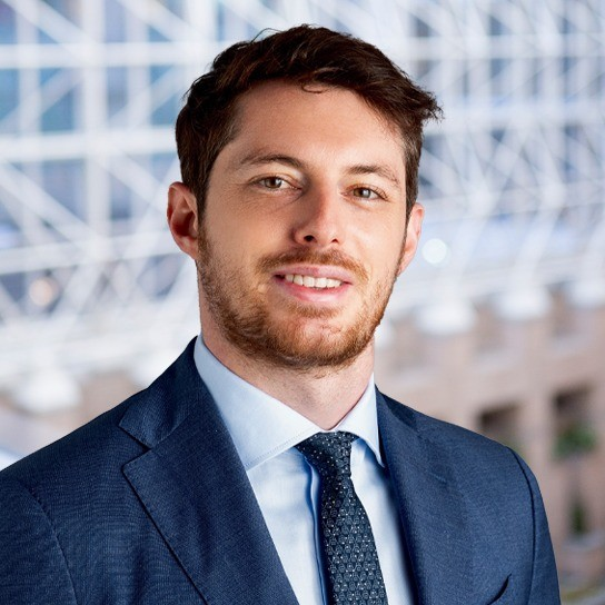 Giacomo Bertelli avatar image