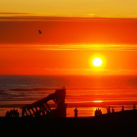 Rick Obst avatar image