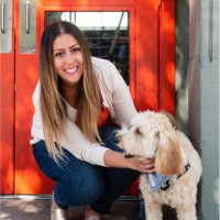 Jovana Teodorovic avatar image