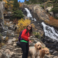 Dana Vilar avatar image