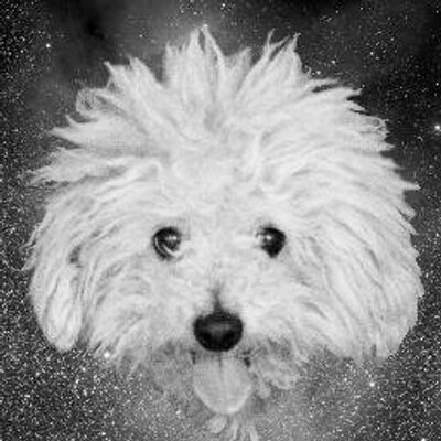 Joseph Ng avatar image