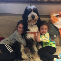 Glenn Handler avatar image