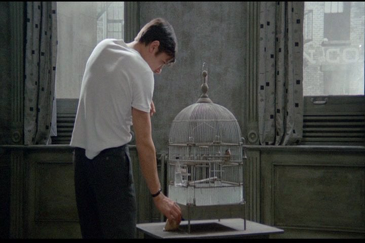 Justin Cosby avatar image