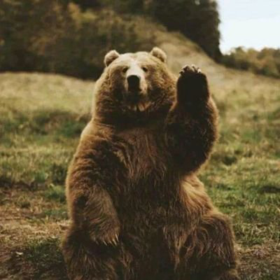 Nikki Wiles avatar image