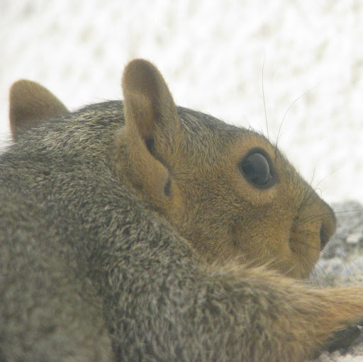 Bernard Willers avatar image