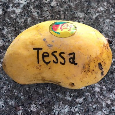 Tessa Thornton avatar image