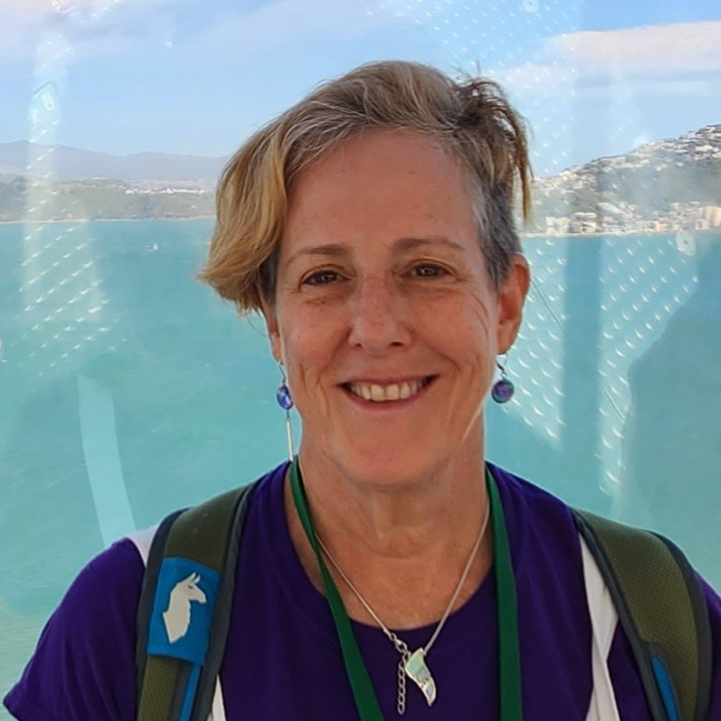 Ellie Cohen avatar image